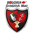 Logografika Bogoria Dartom