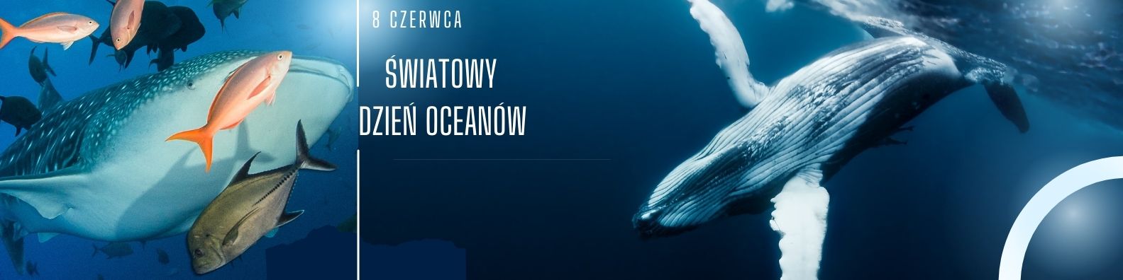 Każda Kropla Się Liczy