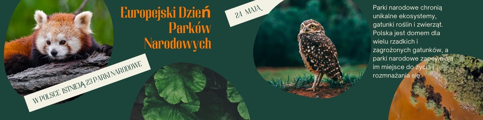 24 maja świętujemy Europejski Dzień Parków Narodowych