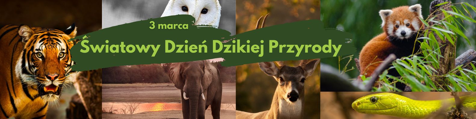 Każdy gatunek ma znaczenie