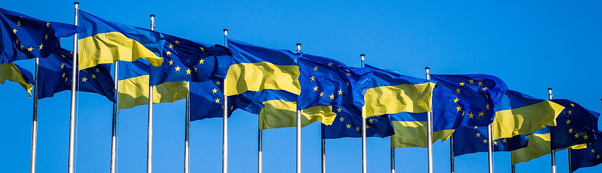 Jesteśmy solidarni z Ukrainą