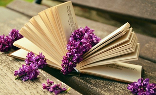 otwarte karty książki na których kiście fioletowego bzu