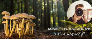 Plakat - konkurs fotograficzny Leśne inspiracje