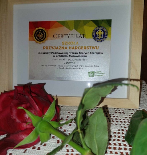 zdjęcie certyfikatu SZKOŁA PZRYJAZNA HARCERSTWU oraz czerwona róża leżąca obok certyfikatu