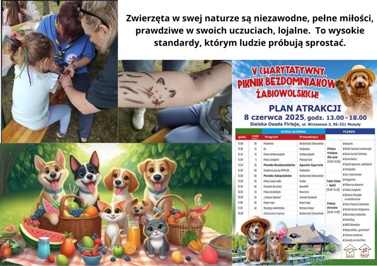 zdjęcie zbiorcze zawiera zdjęcia z pikniku, plakat pikniku i rysunek radosnych psiaków i kotków na kocyku na pikniku  