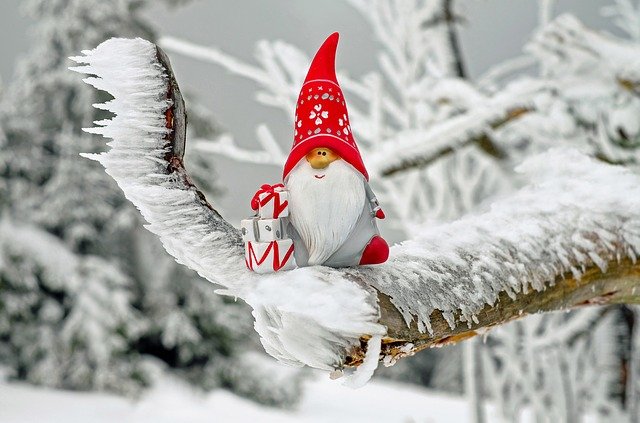 Mikołaj na zaśnieżonej gałęzi świerku