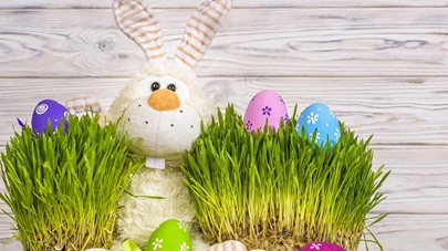 wielkanoc - stroik - zajączek, owies