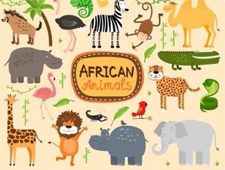 zwierzęta afrykańskie